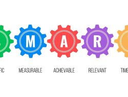 Smart Timeshare Owner Reviews That You Can Trust