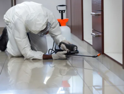 Pest Control Diamond Bar Ca Your Ultimate Solution