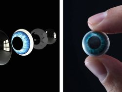 len smart Transforming Translation for All Needs